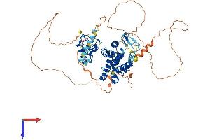 AlphaFold protein structure predicition of Human Recombinant NR1D2 Protein, UniprotID Q14995