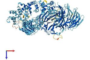 AlphaFold protein structure predicition of Human Recombinant APAF1 Protein, UniprotID O14727