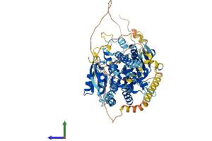 AlphaFold protein structure predicition of Mouse Recombinant Utp25 Protein, UniprotID Q8BTT6
