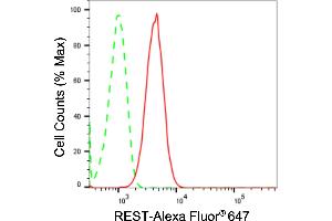 Flow cytometric analysis of REST expression in C2C12 cells using REST antibody (ABIN7800148), 1:2,000). (Recombinant REST anticorps)