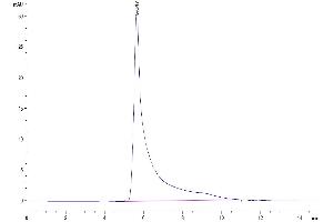 The purity of Mouse CCL5 is greater than 95 % as determined by SEC-HPLC.