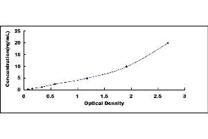 Typical standard curve (CYLD Kit ELISA)