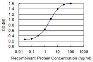 Detection limit for recombinant GST tagged AFP is 0. (alpha Fetoprotein anticorps  (AA 500-609))