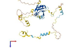 AlphaFold protein structure predicition of Mouse Recombinant Shd Protein, UniprotID O88834