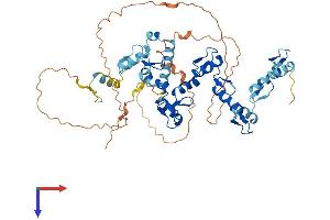 AlphaFold protein structure predicition of Human Recombinant ZNF776 Protein, UniprotID Q68DI1