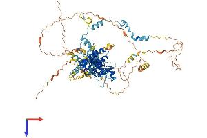 AlphaFold protein structure predicition of Mouse Recombinant Spire2 Protein, UniprotID Q8K1S6