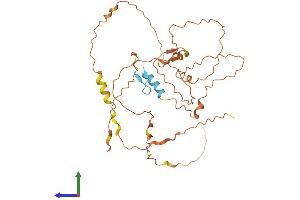 AlphaFold protein structure predicition of Human Recombinant ZNF843 Protein, UniprotID Q8N446