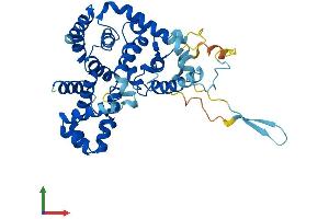 AlphaFold protein structure predicition of Mouse Recombinant Tbc1d13 Protein, UniprotID Q8R3D1