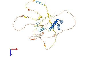AlphaFold protein structure predicition of Human Recombinant EN1 Protein, UniprotID Q05925