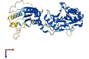 AlphaFold protein structure predicition of Human Recombinant LACC1 Protein, UniprotID Q8IV20