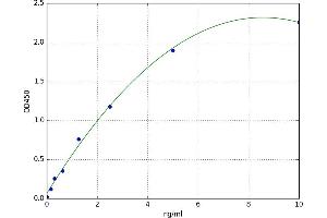 Aminoadipate Aminotransferase (AADAT) ELISA Kit