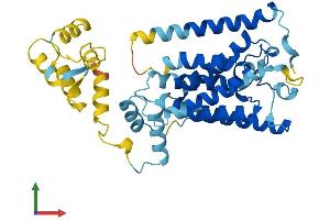 AlphaFold protein structure predicition of Mouse Recombinant Rhbdl1 Protein, UniprotID Q8VC82