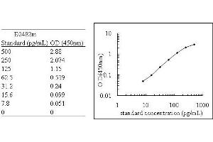 ELISA image for Endothelin 1 (EDN1) ELISA Kit (ABIN455025)