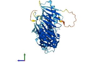 AlphaFold protein structure predicition of Mouse Recombinant Fuz Protein, UniprotID Q3UYI6