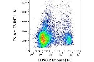 Flow cytometry analysis (surface staining) of murine splenocytes using anti-CD90. (CD90.2 / Thy-1.2 anticorps  (PE))