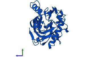 AlphaFold protein structure predicition of Human Recombinant IDI1 Protein, UniprotID Q13907