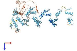 AlphaFold protein structure predicition of Human Recombinant ZNF630 Protein, UniprotID Q2M218