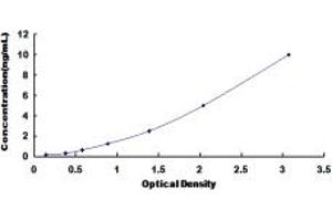 Typical standard curve (ANKRD1 Kit ELISA)