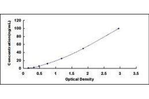 Sulfatase 1 (SULF1) ELISA Kit
