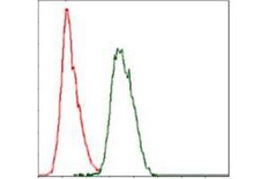 Flow cytometric analysis of Hela cells using COTL1 mouse mAb (green) and negative control (red). (COTL1 anticorps)