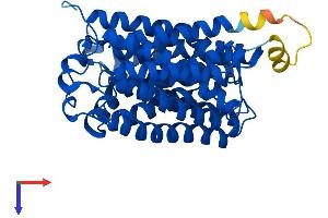 AlphaFold protein structure predicition of Human Recombinant RHAG Protein, UniprotID Q02094