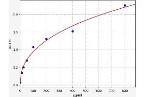 Nitric Oxide Synthase 3 (Endothelial Cell) (NOS3) ELISA Kit