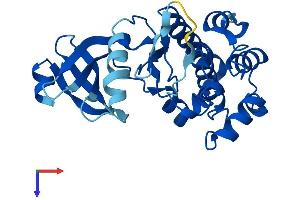 AlphaFold protein structure predicition of Human Recombinant TSSK3 Protein, UniprotID Q96PN8
