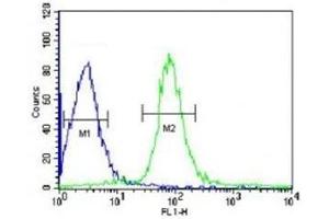 VHL antibody flow cytometric analysis of HepG2 cells (green) compared to a negative control (blue).