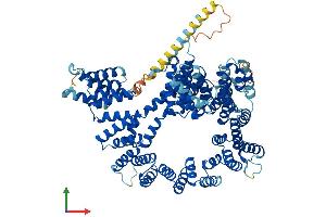 AlphaFold protein structure predicition of Mouse Recombinant Naa16 Protein, UniprotID Q9DBB4