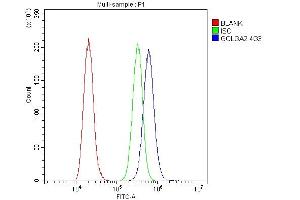 Flow Cytometry analysis of A431 cells using anti- GM130 antibody (ABIN6719432). (Golgin A2 (GOLGA2) (AA 796-913) anticorps)