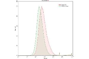 Detection of C3 Convertase in HepG2 human hepatocellular carcinoma cell line using Polyclonal Antibody to Complement C3 Convertase (C3 Convertase) (Complement C3 Convertase anticorps)