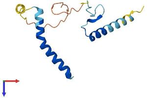 AlphaFold protein structure predicition of Mouse Recombinant Llph Protein, UniprotID Q9D945