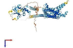 AlphaFold protein structure predicition of Mouse Recombinant Kcng1 Protein, UniprotID A2BDX4