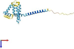 AlphaFold protein structure predicition of Mouse Recombinant Reep6 Protein, UniprotID Q9JM62