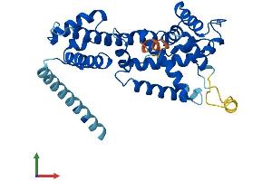 AlphaFold protein structure predicition of Mouse Recombinant Elmod1 Protein, UniprotID Q3V1U8