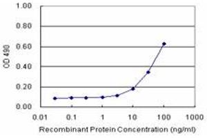 Sandwich ELISA detection sensitivity ranging from 10 ng/mL to 100 ng/mL. (MCM4 (Humain) Matched Antibody Pair)