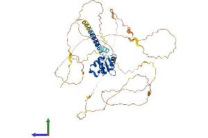 AlphaFold protein structure predicition of Human Recombinant ETV5 Protein, UniprotID P41161