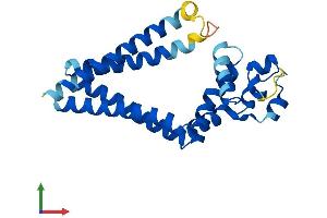 AlphaFold protein structure predicition of Mouse Recombinant Tspan1 Protein, UniprotID Q99J59
