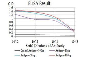 Black line: Control Antigen (100 ng),Purple line: Antigen (10 ng), Blue line: Antigen (50 ng), Red line:Antigen (100 ng)