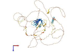 AlphaFold protein structure predicition of Human Recombinant GAB2 Protein, UniprotID Q9UQC2