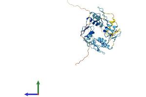 AlphaFold protein structure predicition of Human Recombinant ZNF322 Protein, UniprotID Q6U7Q0
