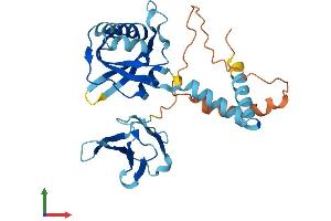AlphaFold protein structure predicition of Mouse Recombinant Pih1d2 Protein, UniprotID Q8CHR9