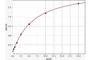 Typical standard curve (DDAH2 Kit ELISA)