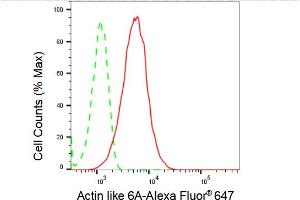 Flow cytometric analysis of Actin like 6A expression in HepG2 cells using Actin like 6A antibody (ABIN7797455), 1:2,000). (Recombinant BAF53A anticorps)