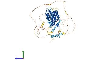 AlphaFold protein structure predicition of Mouse Recombinant Paxbp1 Protein, UniprotID P58501