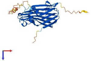 AlphaFold protein structure predicition of Mouse Recombinant Tiprl Protein, UniprotID Q8BH58