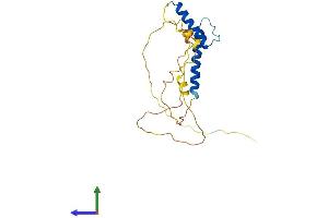 AlphaFold protein structure predicition of Mouse Recombinant Tcf23 Protein, UniprotID Q9JLR5