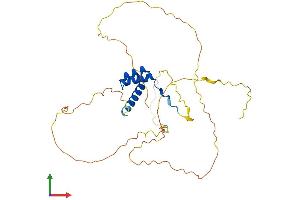 AlphaFold protein structure predicition of Human Recombinant DLX2 Protein, UniprotID Q07687