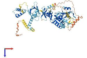 AlphaFold protein structure predicition of Mouse Recombinant Mpp4 Protein, UniprotID Q6P7F1