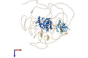 AlphaFold protein structure predicition of Mouse Recombinant Senp7 Protein, UniprotID Q8BUH8